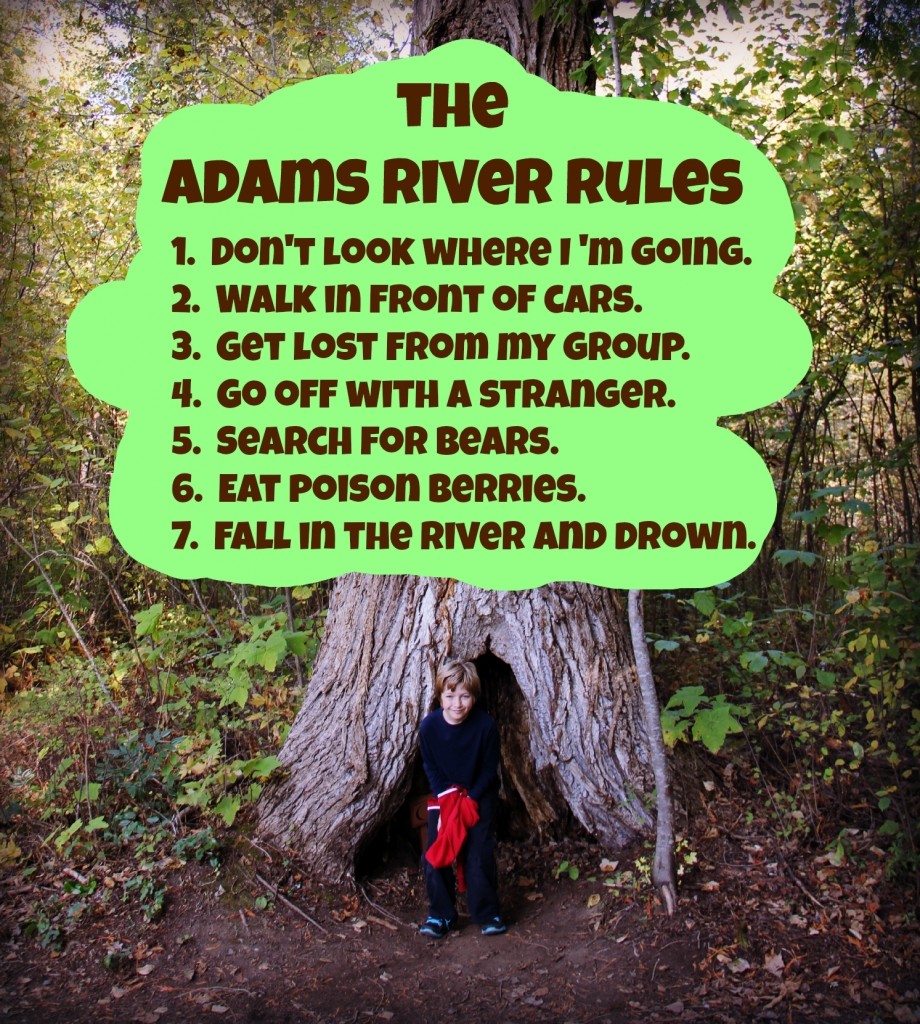 The Adams River Rules