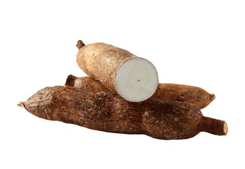 yuca